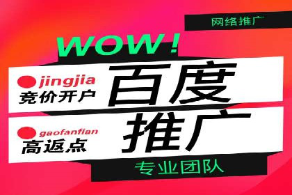 百度竞价SEM的转化率提升：某企业成功经验分享